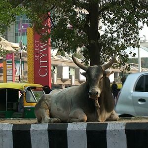 Foto En quête de sens