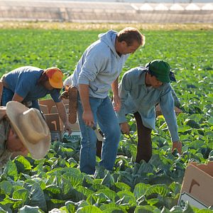Foto McFarland Dos EUA