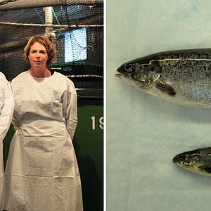 Foto 10 Bilhões - O Que Tem Para Comer?