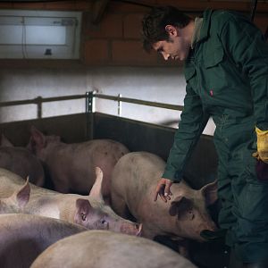 Foto Johan Libéreau