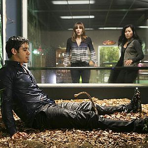 Foto Scorpion