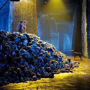 Foto A Gangue Zip Zap