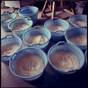 Foto The Birth of Saké