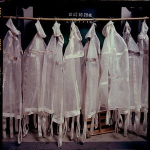 Foto The Birth of Saké