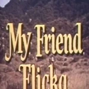 Foto My Friend Flicka