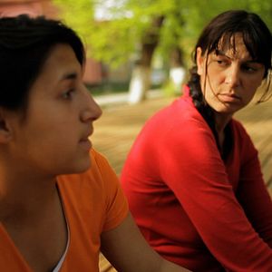 Foto A Floresta é como as Montanhas