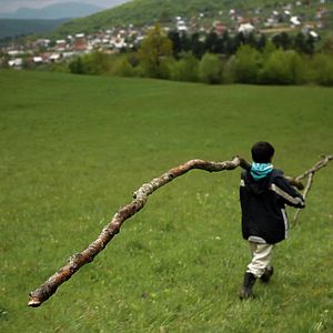 Foto A Floresta é como as Montanhas