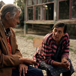 Foto A Floresta é como as Montanhas