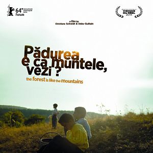 Foto A Floresta é como as Montanhas