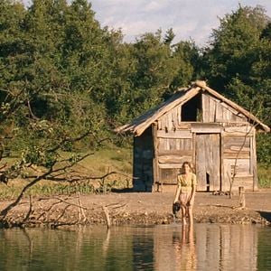 Foto A Ilha do Milharal