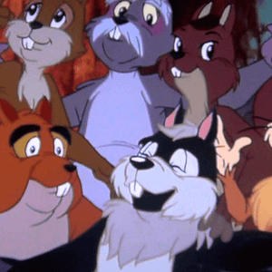 Foto O Cisne Apaixonado