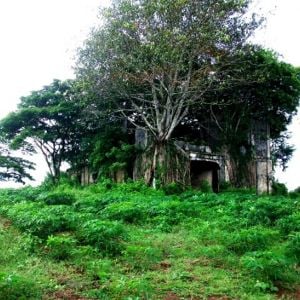 Foto A França é a Nossa Pátria