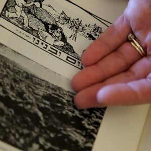 Foto Essa é a Minha Terra