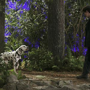 Foto Once Upon a Time