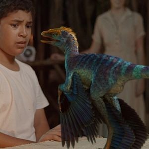 Foto Darius Williams