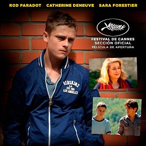 Foto De Cabeça Erguida