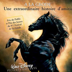 Foto Jeanne Rosenberg