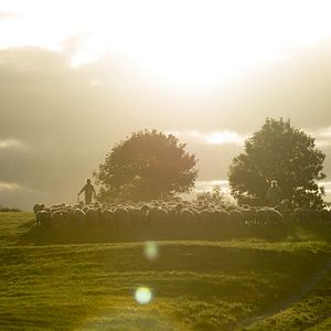 Foto Longe Deste Insensato Mundo