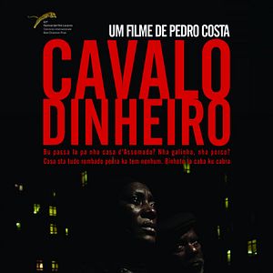 Foto Cavalo Dinheiro