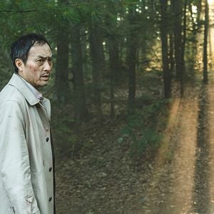 Foto O Mar de Árvores