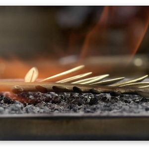 Foto La Légende de la Palme d’or