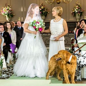 Foto Um Amor Verdadeiro