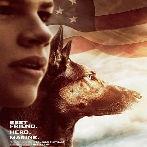 Foto Max - O Cão Herói