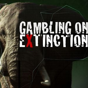 Foto O Jogo da Extinção