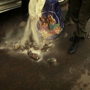 Foto O Jogo da Extinção