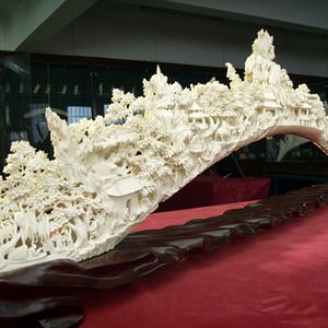 Foto O Jogo da Extinção