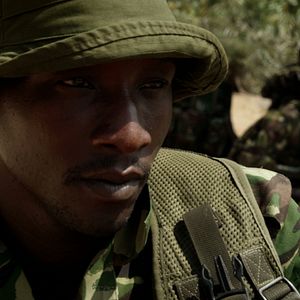 Foto O Jogo da Extinção