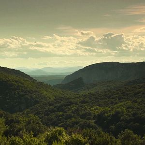 Foto Tom, o Garoto Malandro
