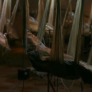 Foto Isa – Identidade Virtual