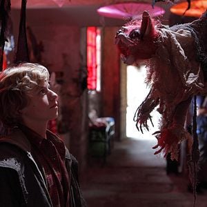 Foto Ludovico Girardello