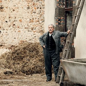 Foto L'Odeur de la mandarine