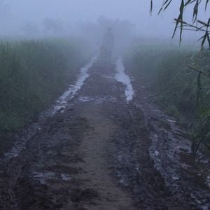 Foto O Quarto Código