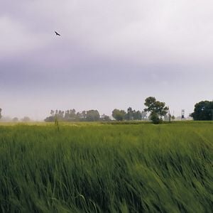 Foto O Quarto Código