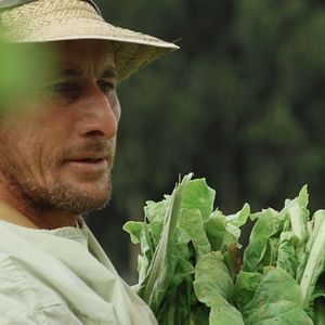 Foto A Grande Nuvem Cinza