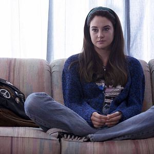 Foto Pássaro Branco na Nevasca