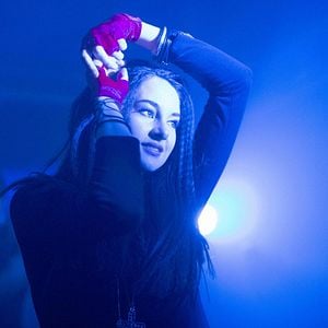 Foto Pássaro Branco na Nevasca