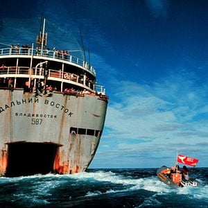 Foto Como Mudar o Mundo