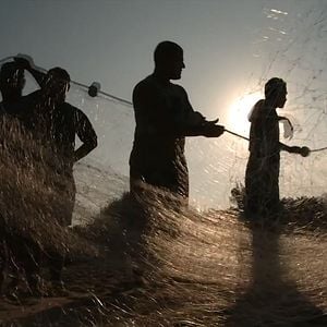Foto Desculpe Pelo Transtorno - A História do Bar do Chico