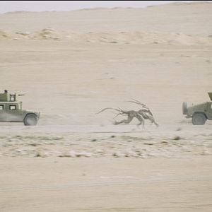 Foto Monsters: Dark Continent