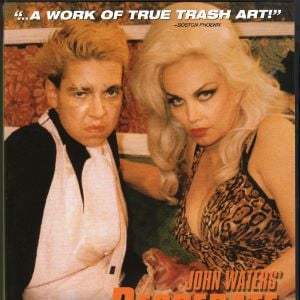 Foto Viver Desesperado