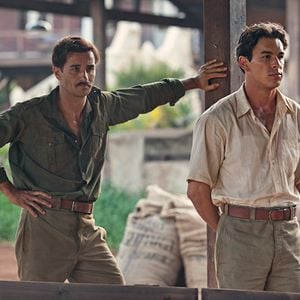 Foto Palmeiras na Neve