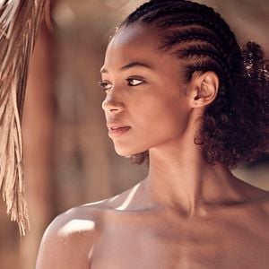 Foto Palmeiras na Neve