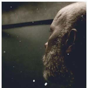 Foto Cavalo Dinheiro