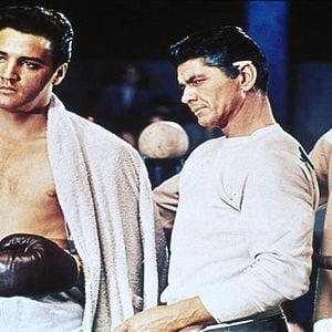 Foto Talhado para Campeão