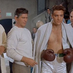 Foto Talhado para Campeão