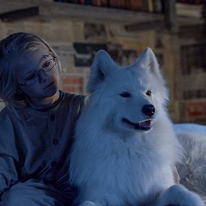 Foto Operação Ártico